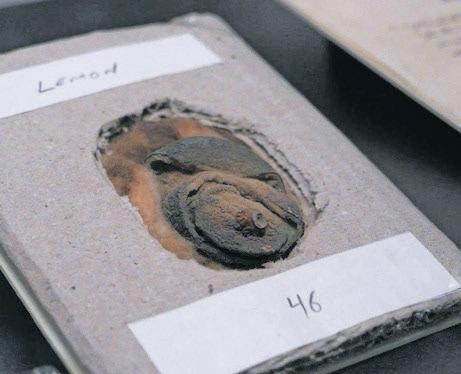 The spy who was sold a lemon