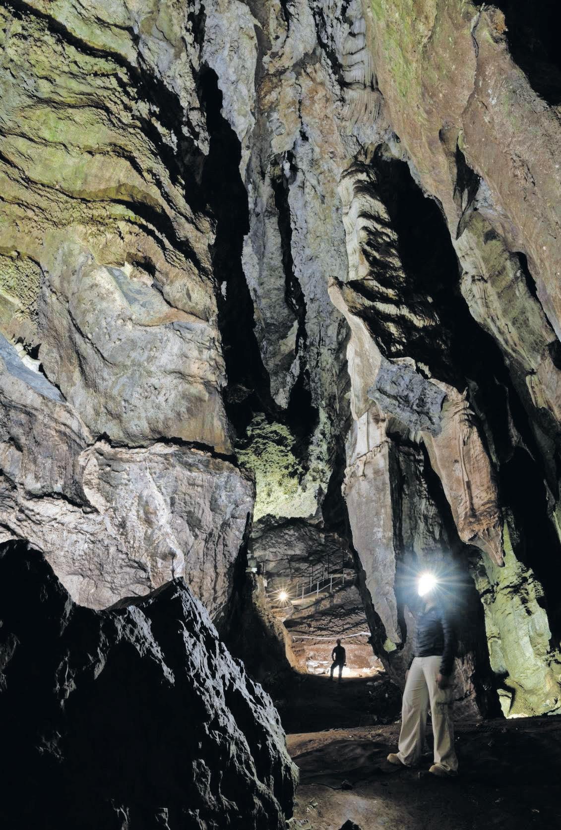 Wits Sterkfontein Caves reopen
