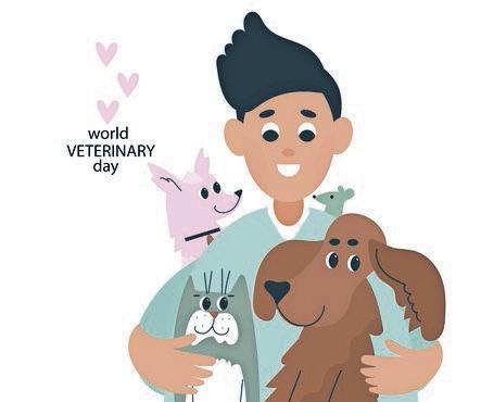 The top 5 questions you should be asking your vet