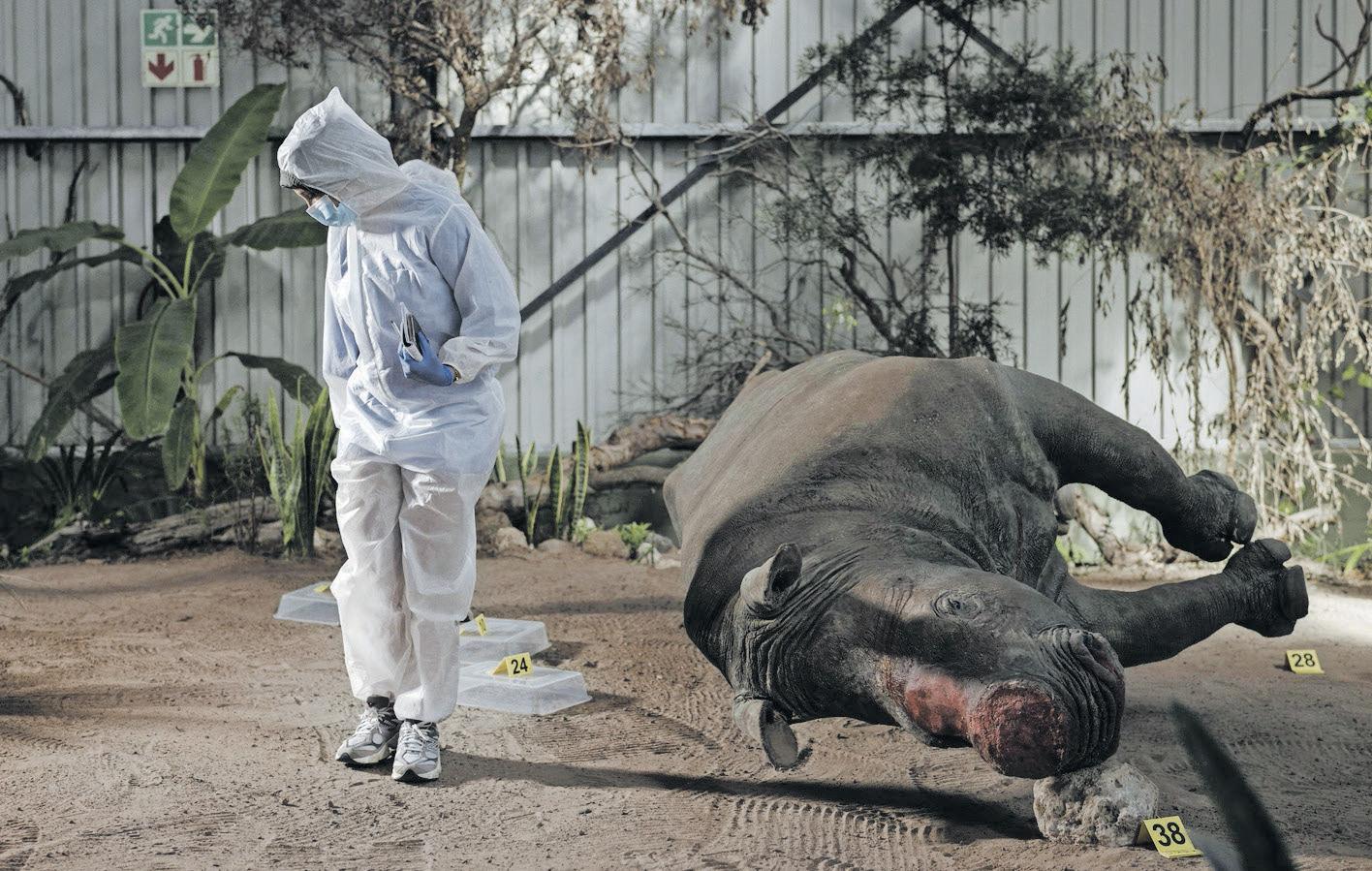 Inside the forensic academy where future guardians battle poaching