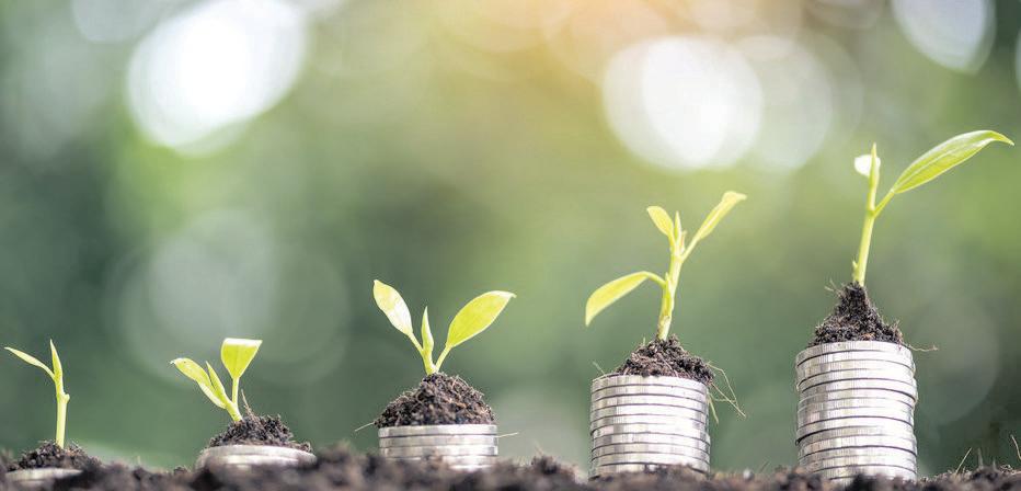 How asset managers are doing with your retirement savings