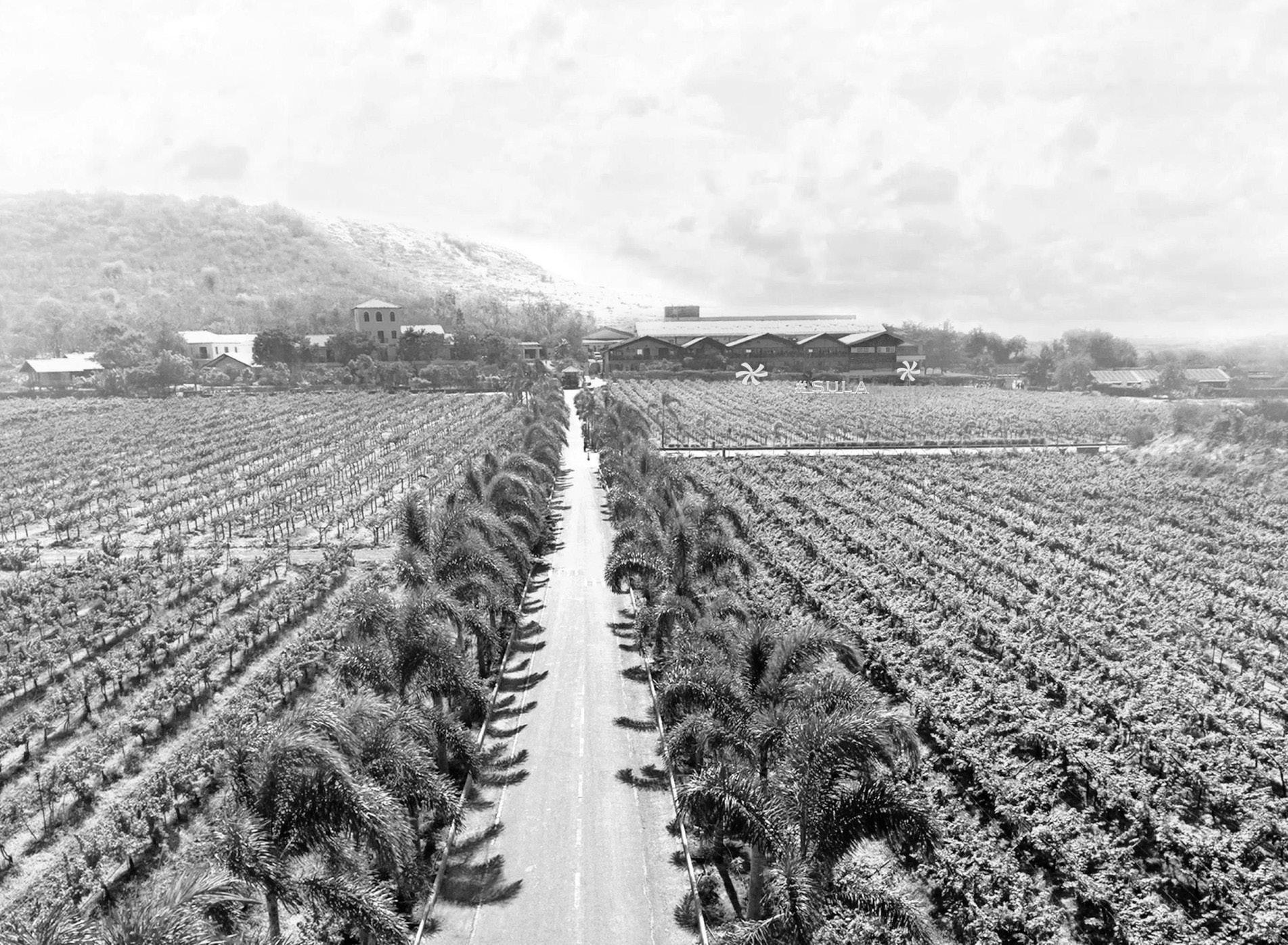 Toast to the world's newest wine route