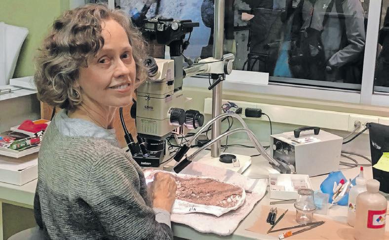 Discovery of North America’s oldest pterosaur