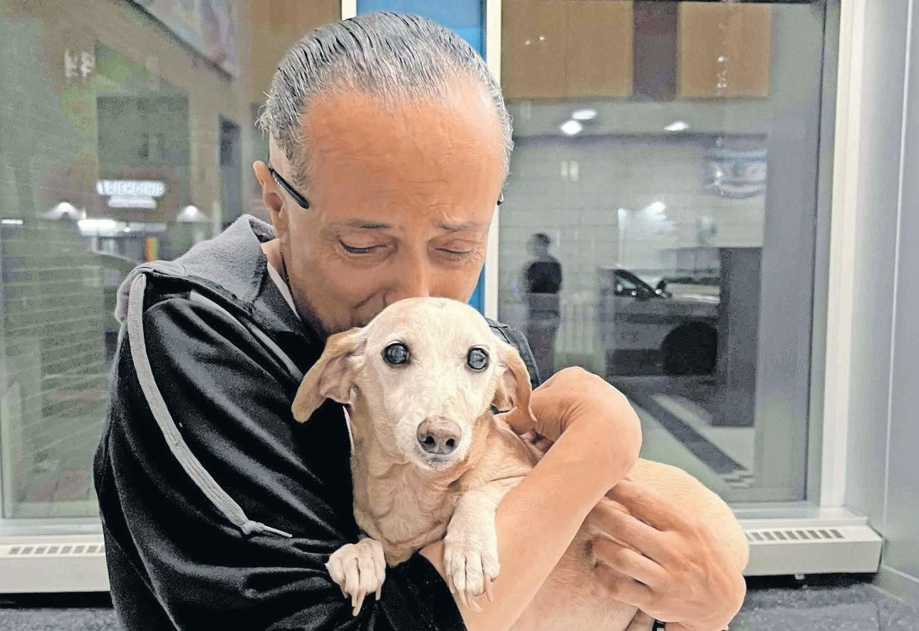 Touching reunion of blind man's missing support dog