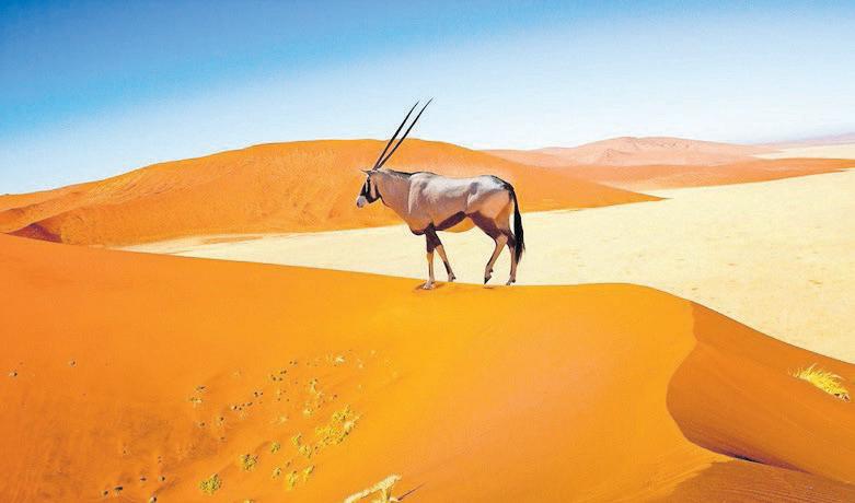 Africa's best destination dupes