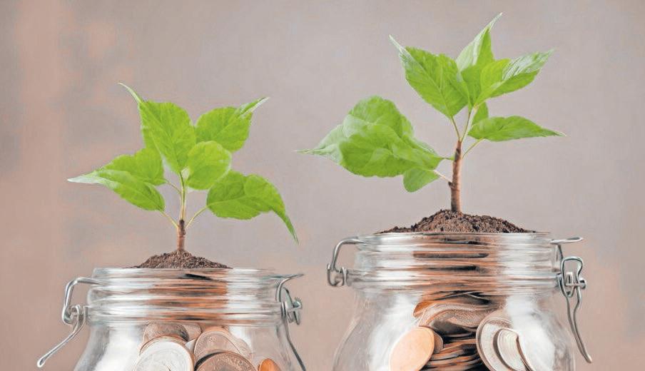 Two-pot system a year on — the signs are good