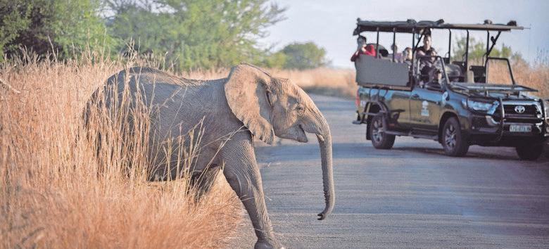 Why not challenge yourself to a microadventure on a budget of R500?