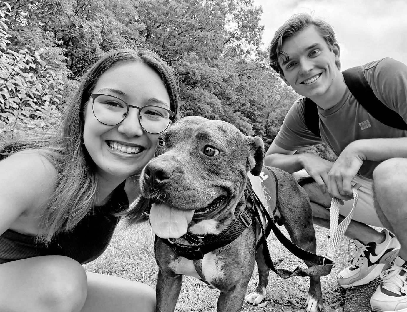 The rise of 'dog lending' good for people, great for pets