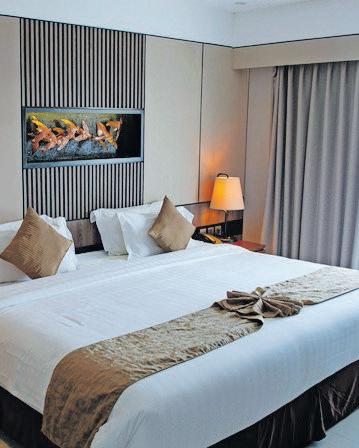 SA tourism grows as accommodation income rises