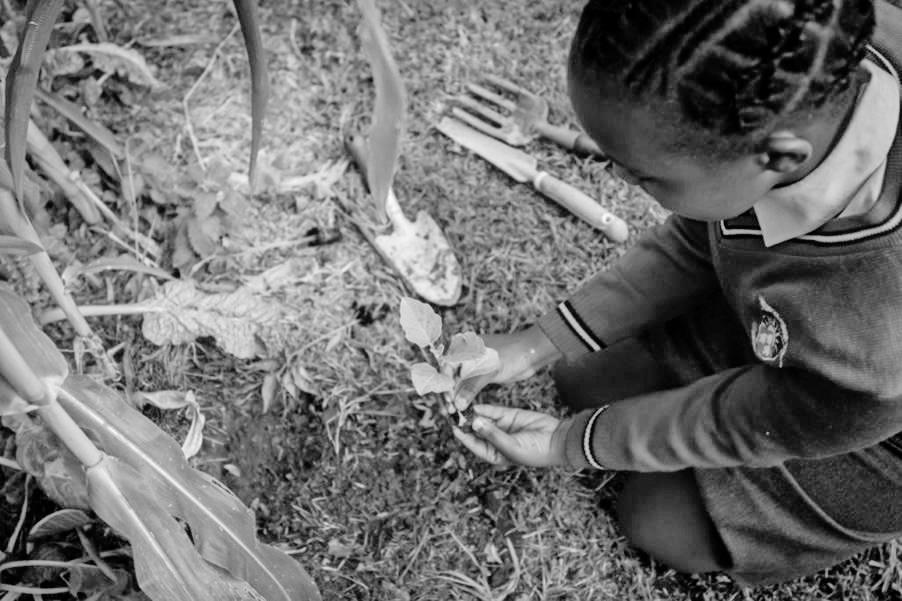 32 schools named finalists in 2025 EduPlant competition