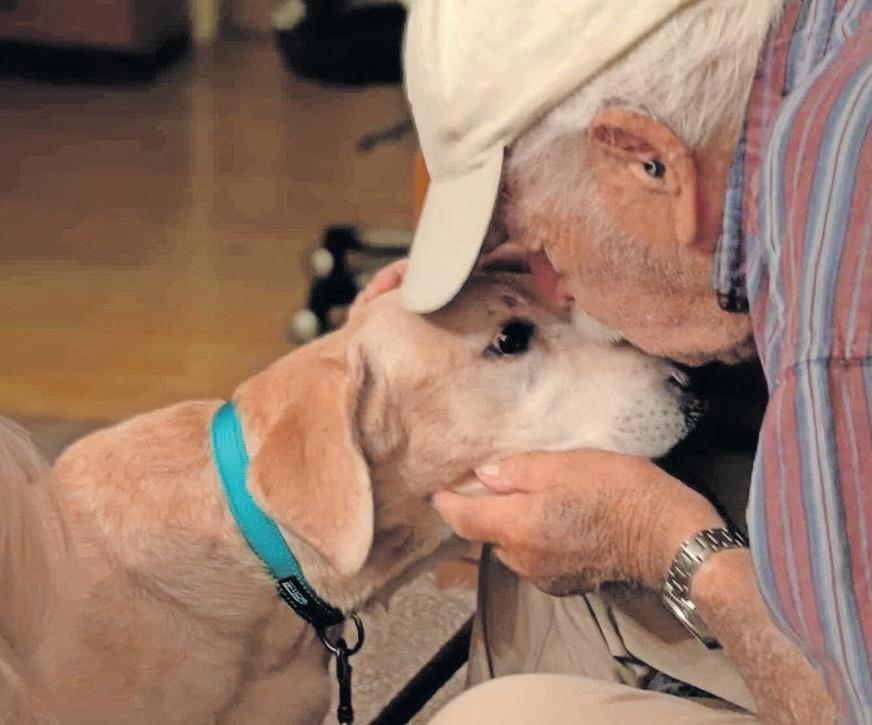 Man reunites with lost dog after rescuers lure her with his socks