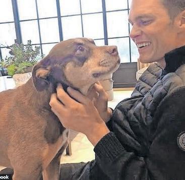 Tom Brady clones family pet that died