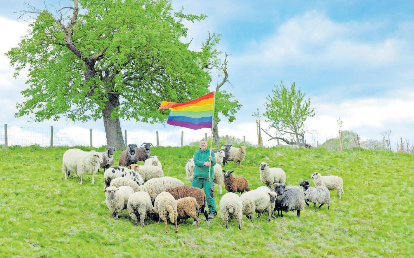 Fashion from the wool of gay sheep