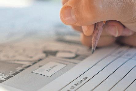 Could homeschooling be unexpected solution?