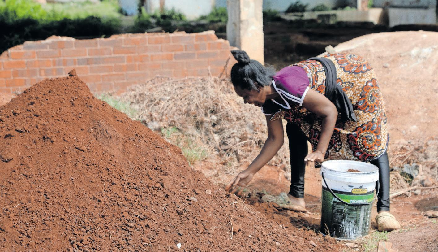 Gold rush grips Springs