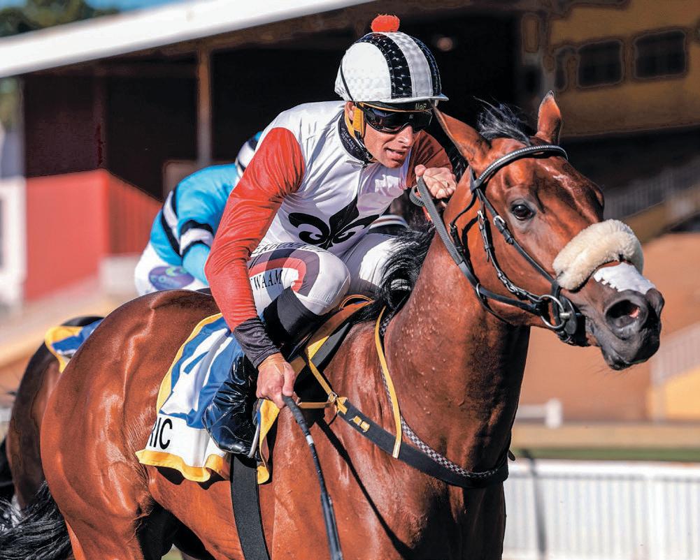 O’Tenikwa can confirm Guineas form