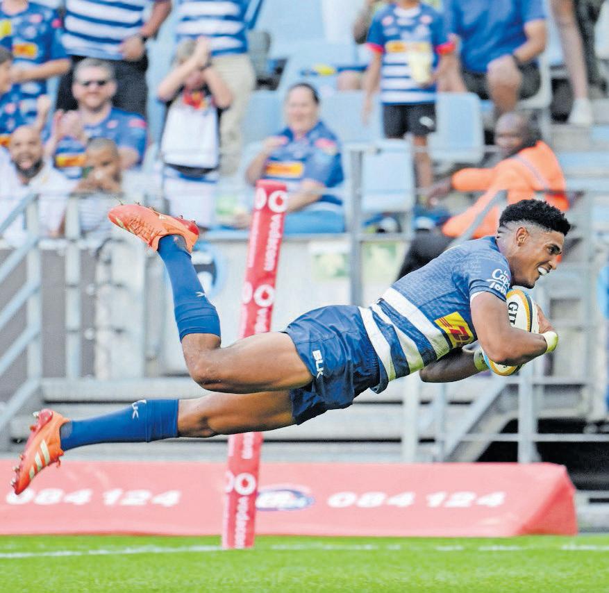 Should Feinberg-Mngomezulu or Pollard be Springbok flyhalf?