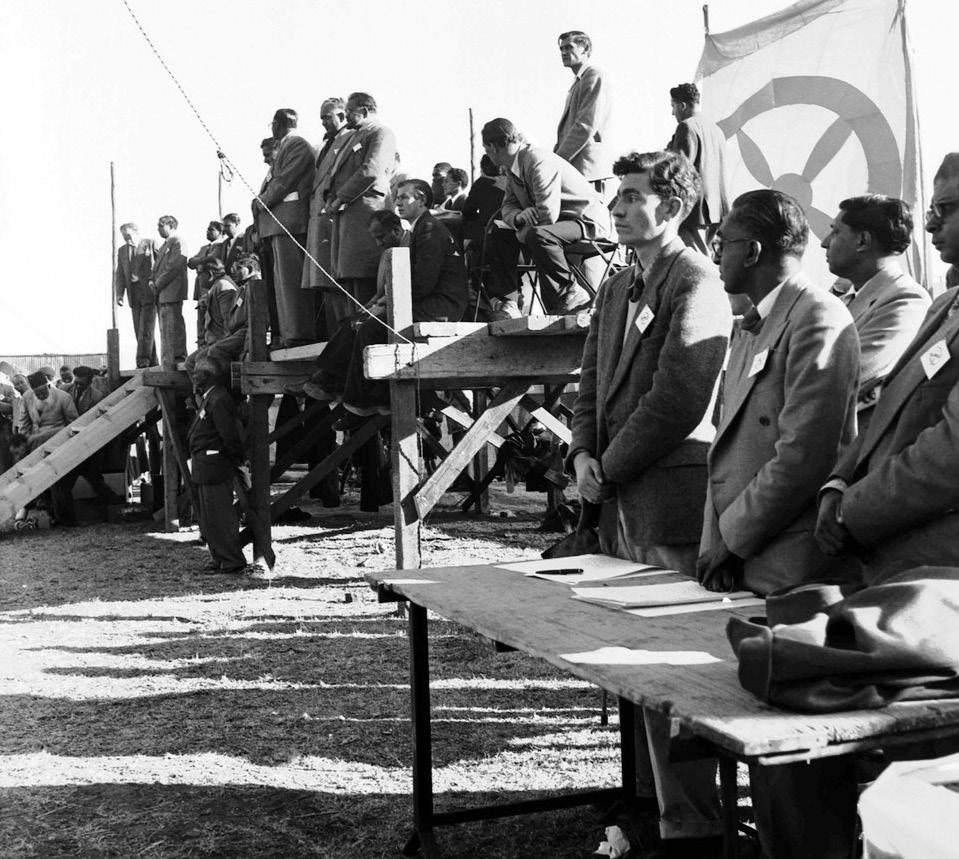 Freedom Charter at 70: tapestry of hope