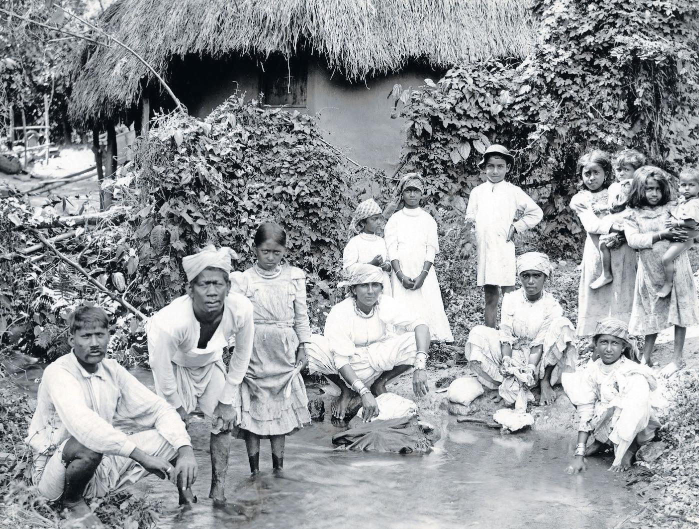 Indian and African marriages during the system of indenture and beyond: 1860 to 1954