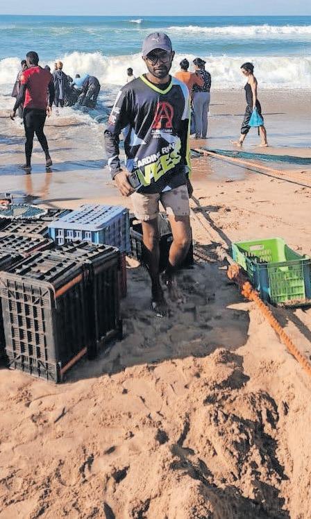 Heroic act saves beachgoers from serious injury at sardine netting