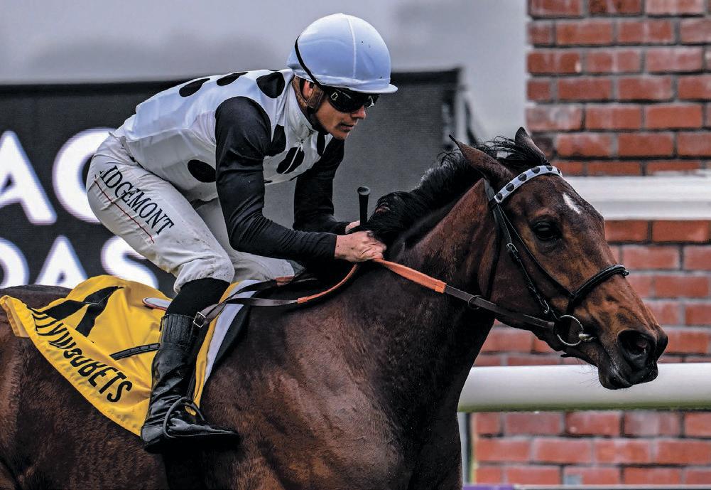 Black Eagle to get off to a flying start