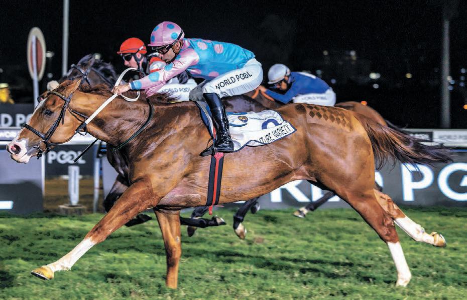 Fortune favours the brave