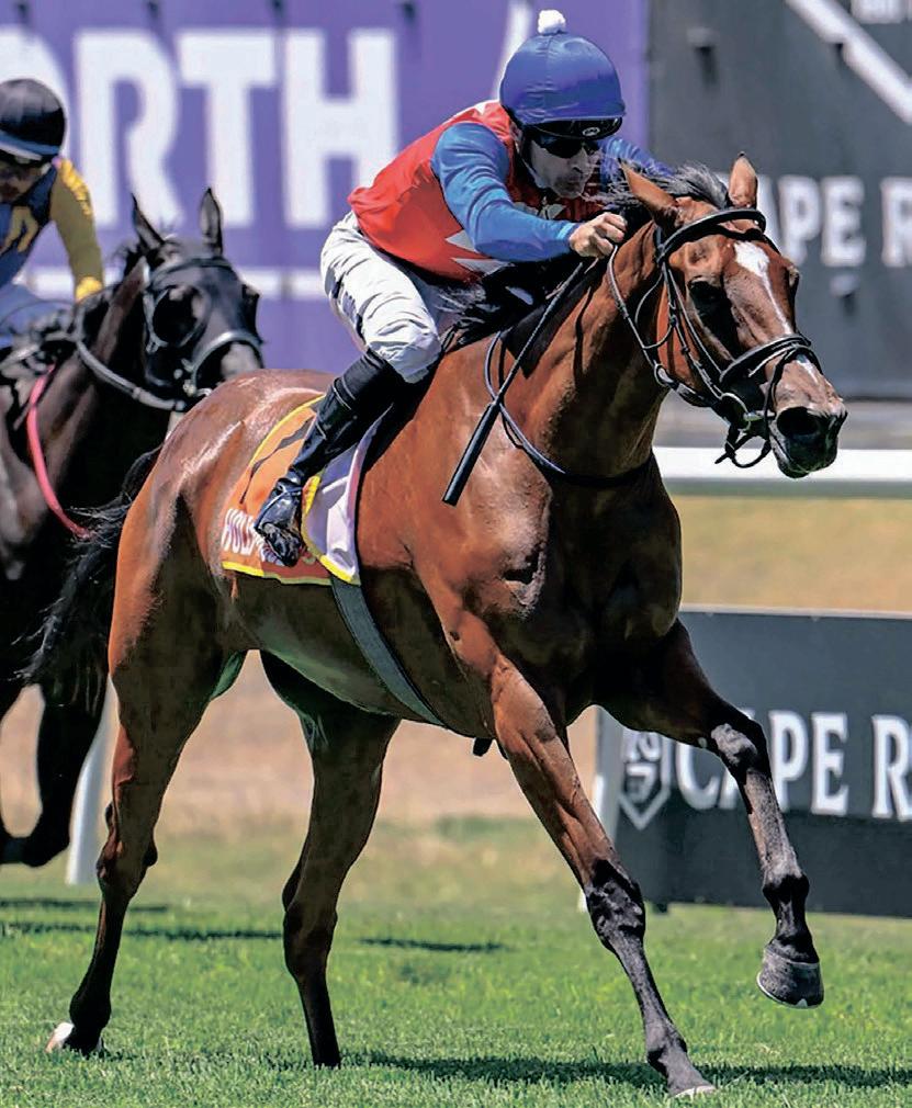 Rahhabba gets a lucky break