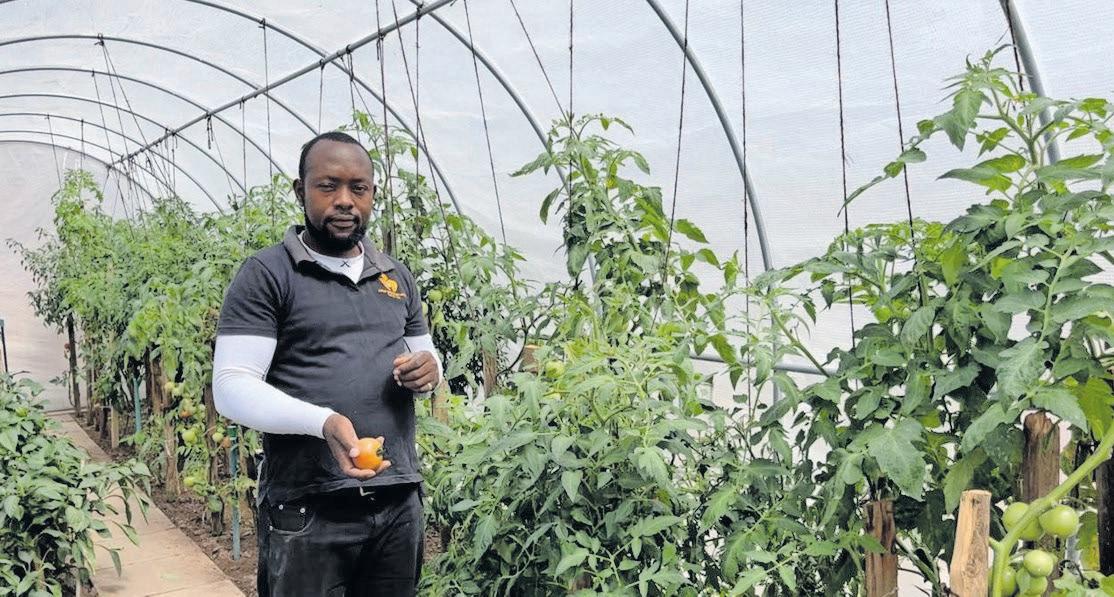 Families struggle to survive as food costs outpace minimum wage