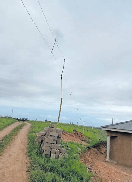 Tongaat farmers fight back as land invasions threaten historic properties