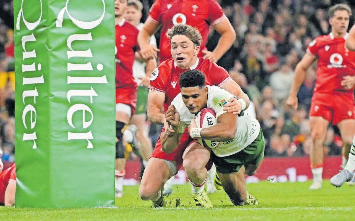 Springboks scale new heights in a year to savour