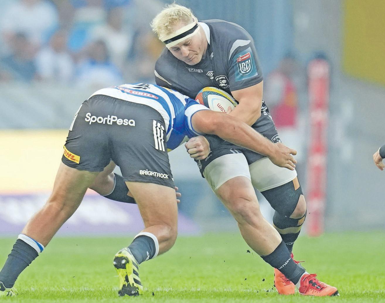 Refreshed Sharks target Lions scalp