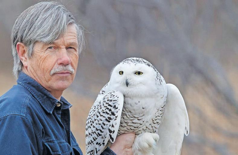 Yearly migration keeps the ‘owl man’ busy at Boston airport