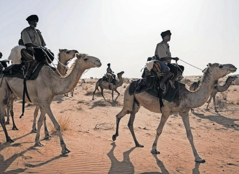 On patrol for jihadists with a camel cavalry