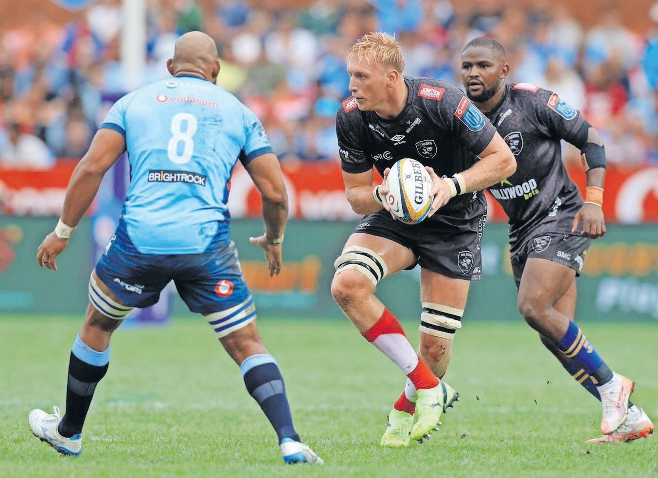Plumtree confident Sharks can beat Bulls in URC semi-final without Etzebeth
