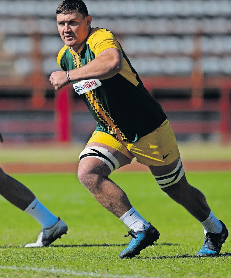 Springbok No 8s are going down like flies but Erasmus is relying on Wiese