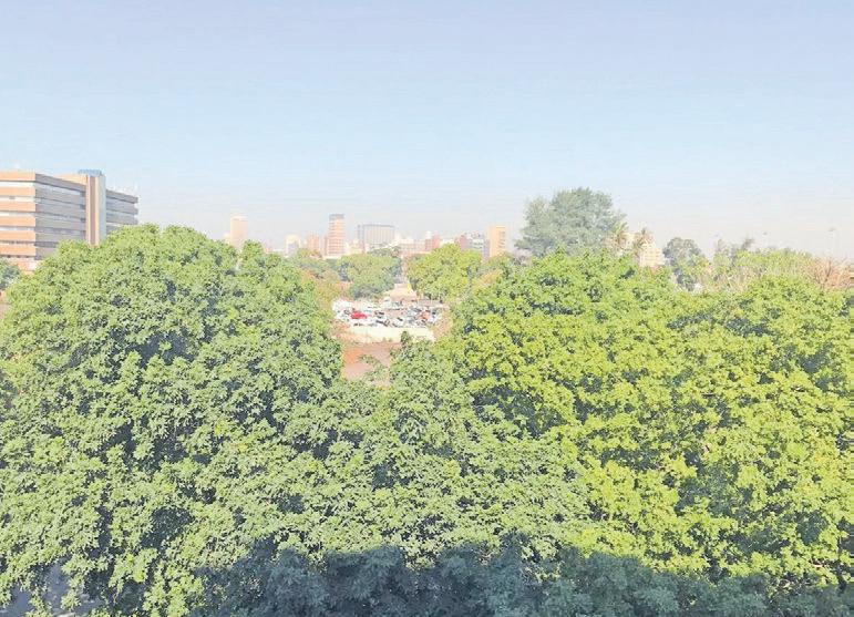 A vibrant Greyville community remembered