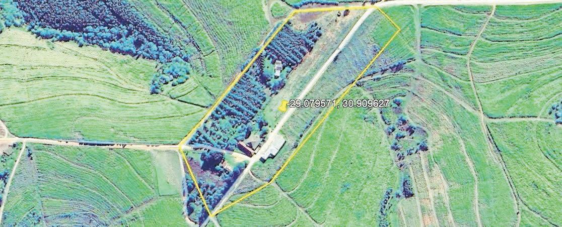 Smallholding is great bet for investors