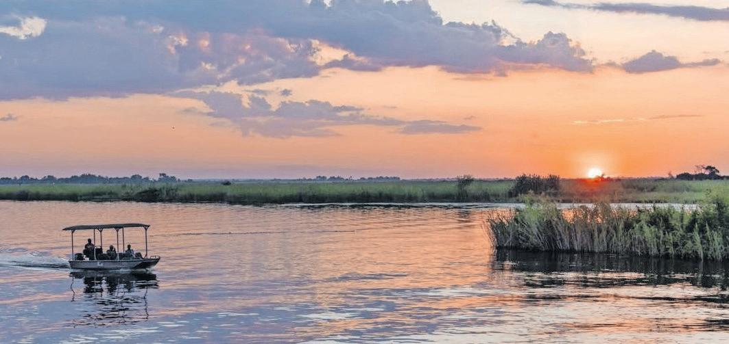 Humans and wildlife thrive in harmony