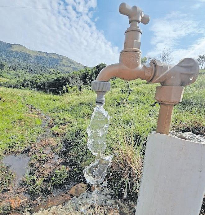 Community, crane species benefit from KwaMkhize's water project