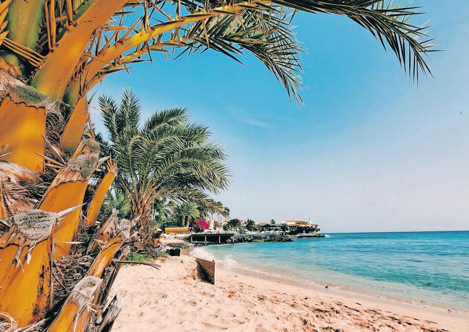 Uncovering Africa’s best-kept tropical secrets