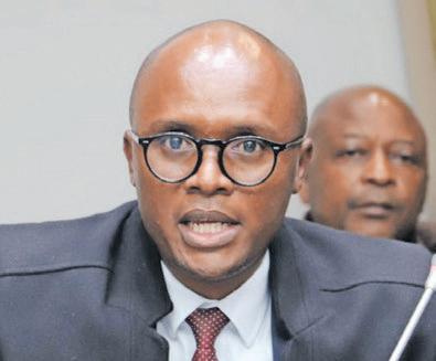 DA minister 'sabotages' SA'S BEE to appease Musk