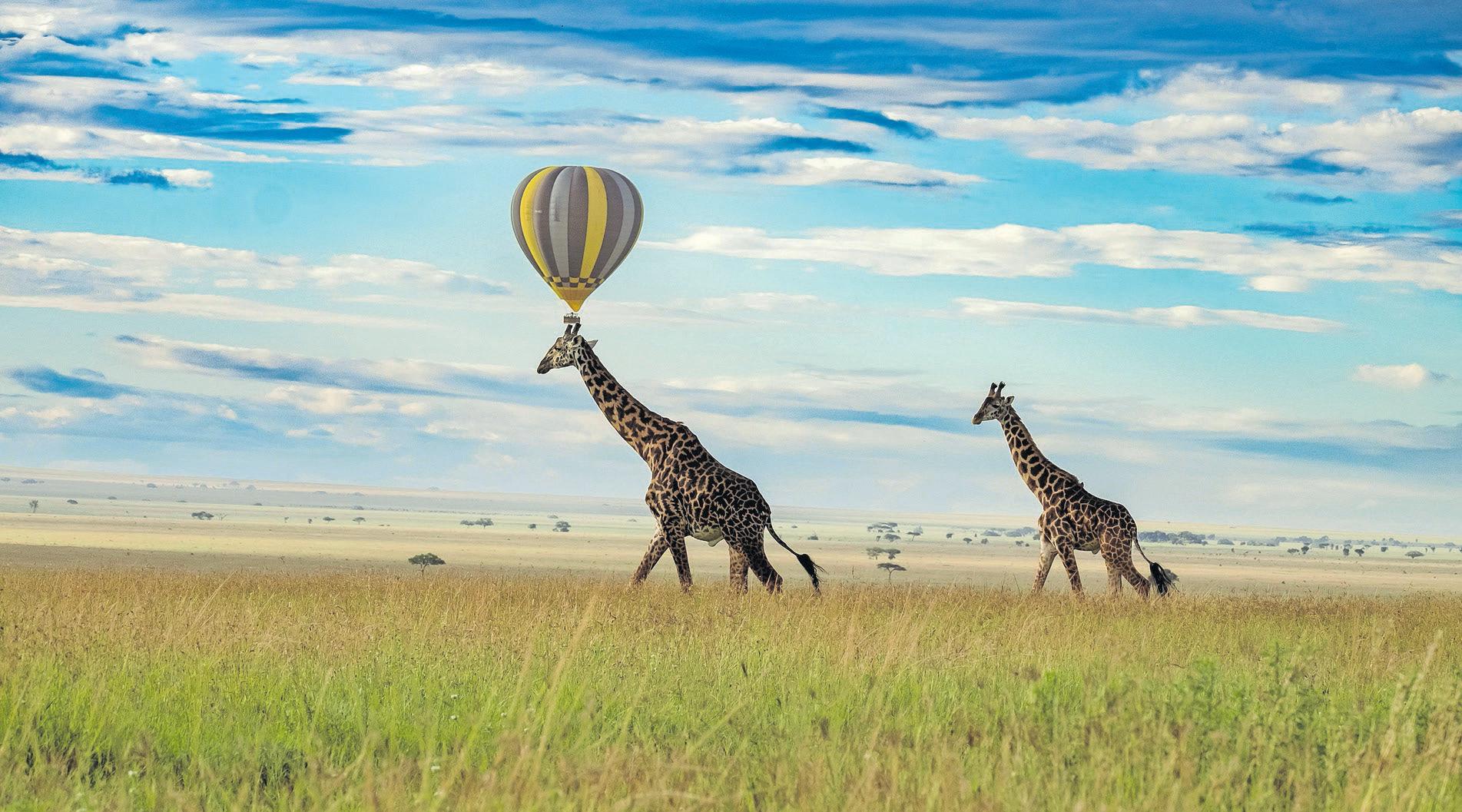 Adventure: dive into Africa’s best beach-to-bush holidays