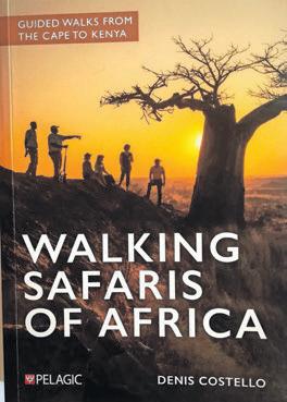 Up close and personal: a walking safari in Africa
