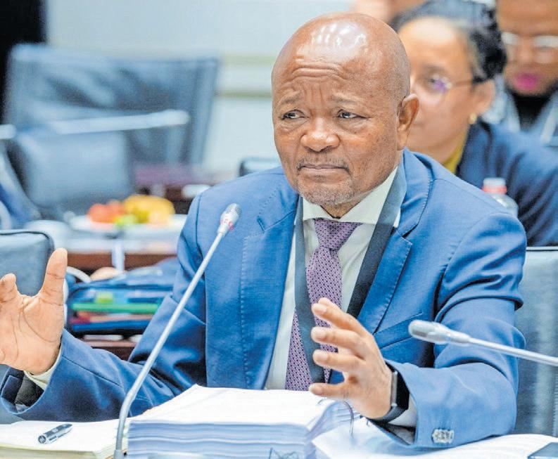 Suspended Police Minister Mchunu testimony extended