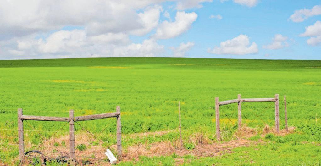 Public land and assets: a silent symbol of missed opportunity