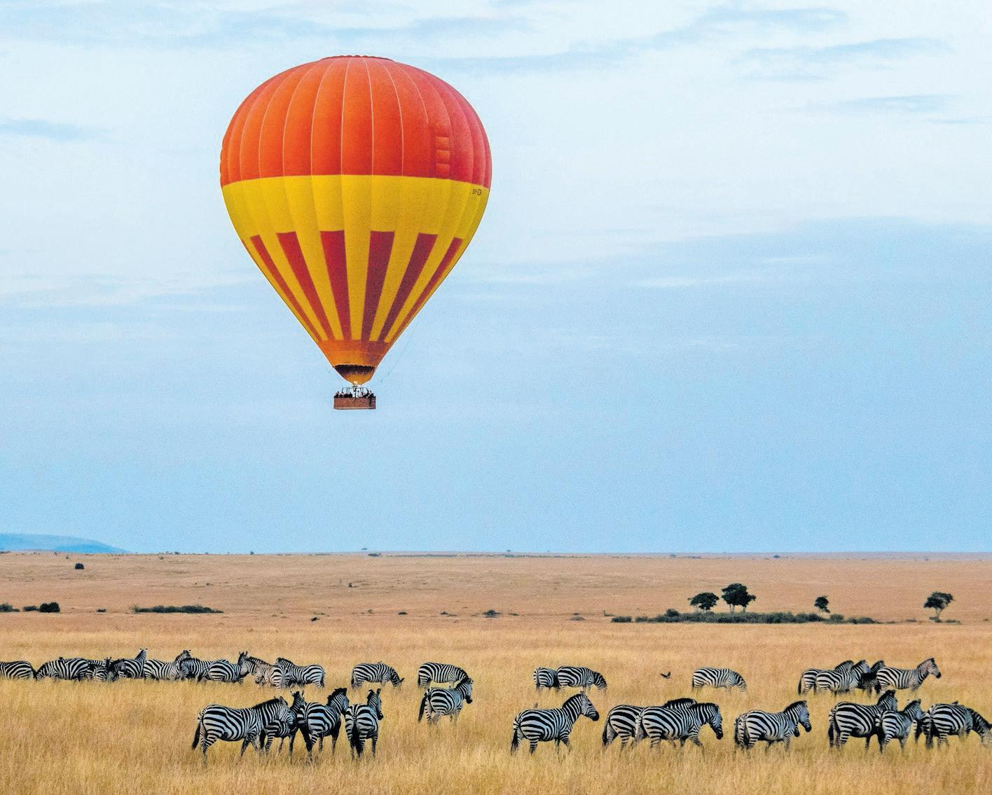 Ultimate bucket list of wildlife adventures around the world