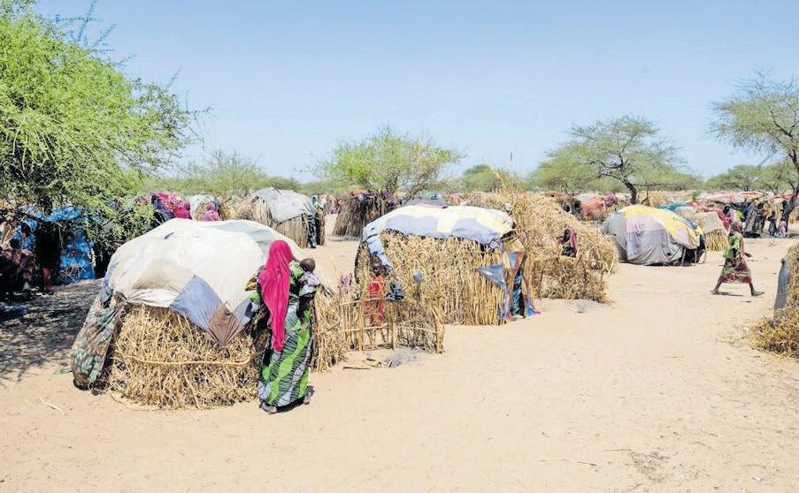 Environmental stress and violent conflict in northern Nigeria