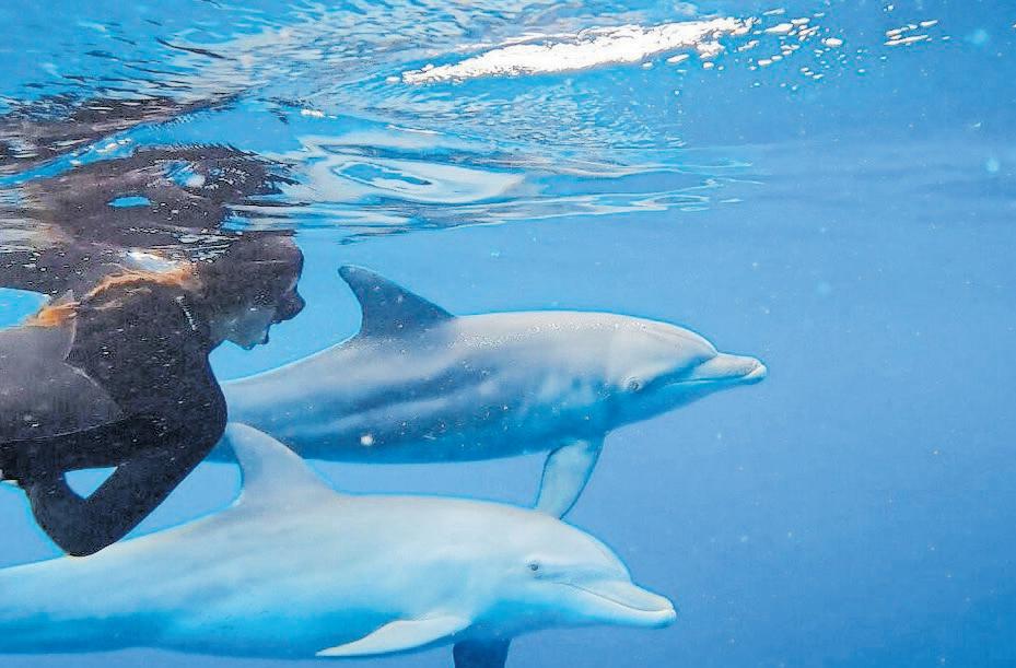 Discover Mzansi's most thrilling summer adventures