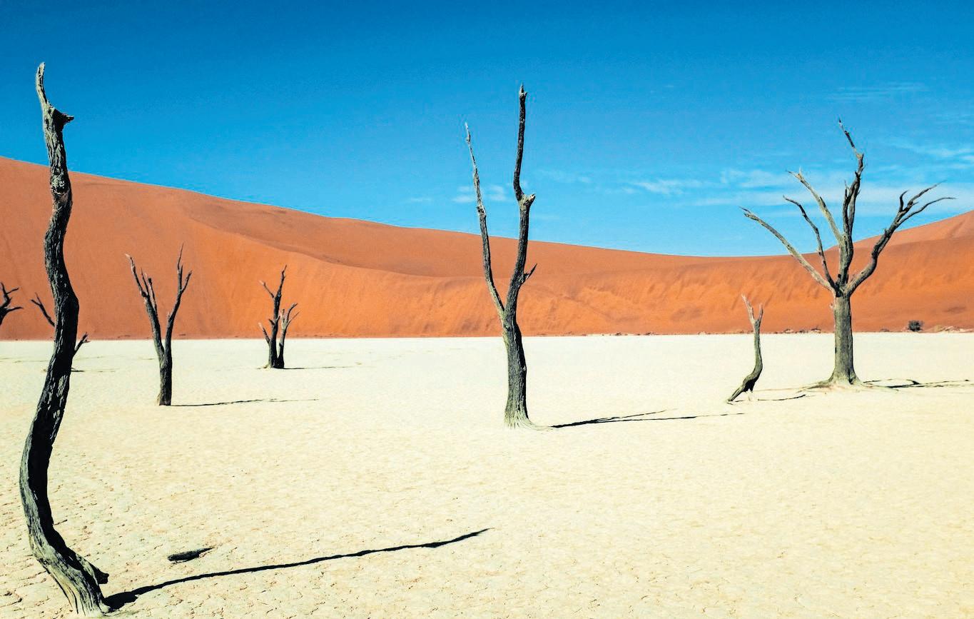 Visa-free African destinations for South Africans in 2026