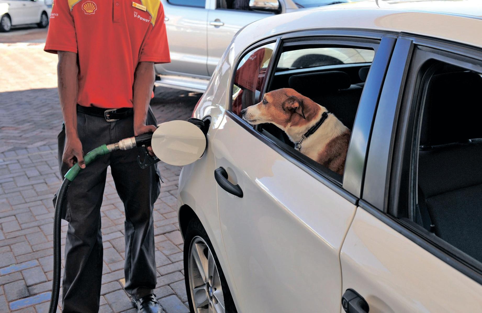 Fuel price drop offers little solace as South Africans struggle with rising costs
